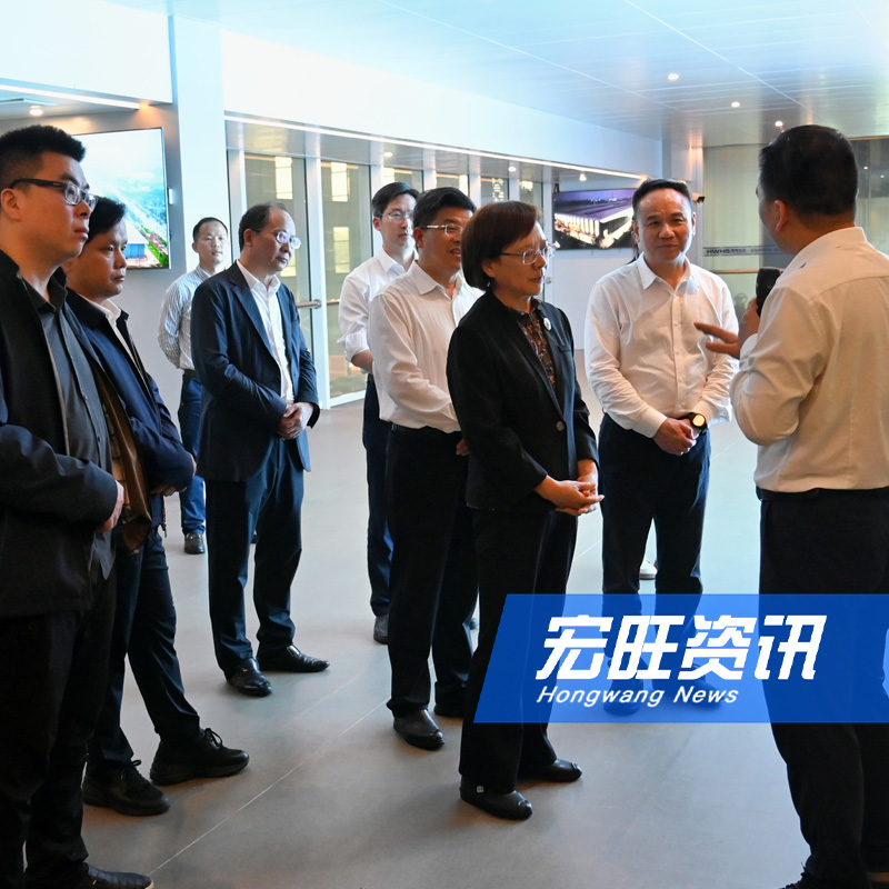 湖南省人大常委会党组成员、新能源产业链链长谢建辉一行莅临湖南宏旺调研