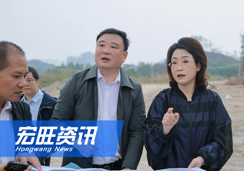 防城港市委书记黄江莅临广西宏旺开展重大项目建设专题调研
